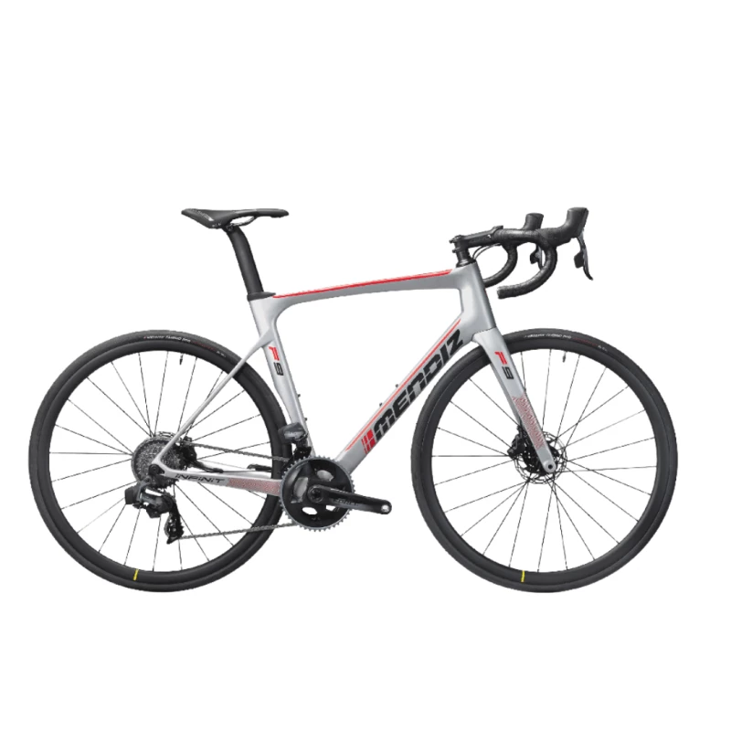 Bicicleta Mendiz F9ICR ONLY Plata Rojo